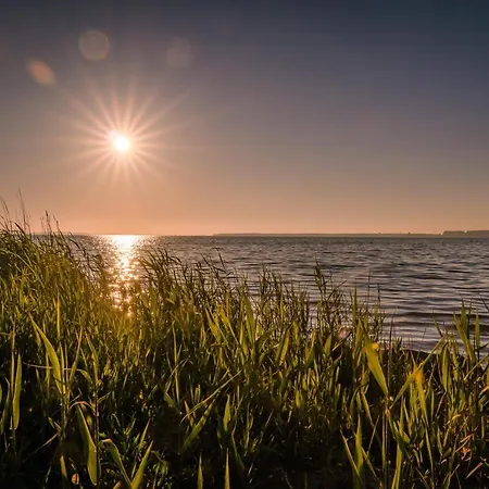 Marina Martinshafen - Life *